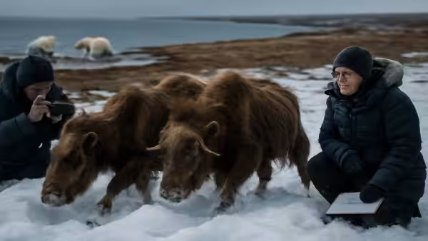 Meteorologists warn early February Arctic changes place animal populations at a biological tipping point, scientists alarmed