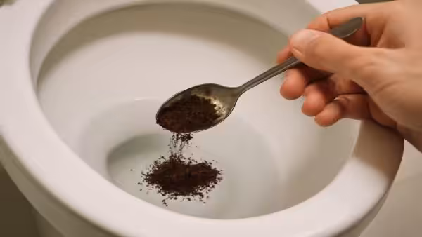 One spoon is enough: why more and more people are putting coffee grounds in the toilet