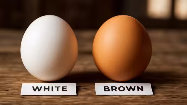 I learned it at 60 : few people know the difference between white eggs and brown eggs