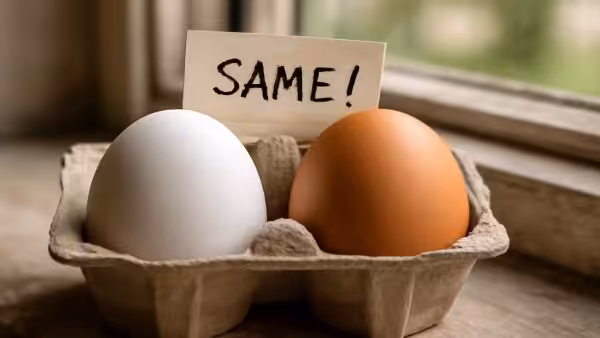 I learned it at 60: few people actually know the difference between white and brown eggs