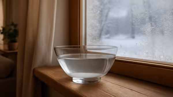 A bowl of salt water by the window in winter: this simple trick works just as well as aluminum foil in summer