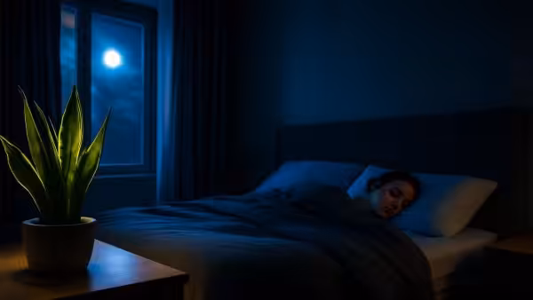 How a single bedroom houseplant can increase deep sleep phases by 37%, according to a new nasa study