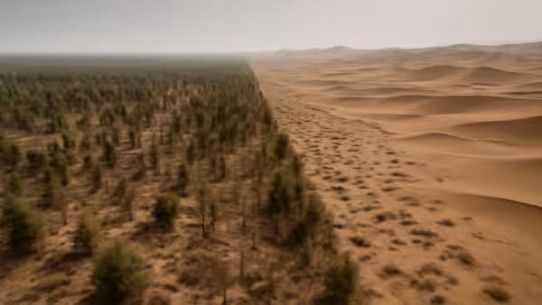 A billion trees in China slow the desert yet some experts insist the campaign is making ecosystems worse